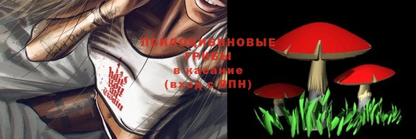 спиды Алексин