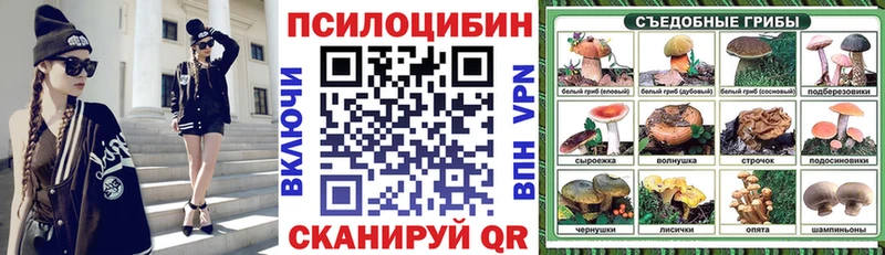 Псилоцибиновые грибы GOLDEN TEACHER  где купить наркоту  Аркадак 
